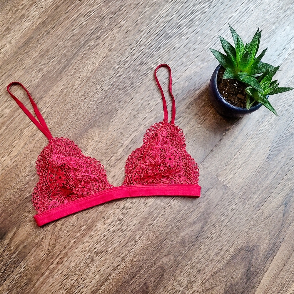Victoria's Secret Red Suede and Lace Bralette